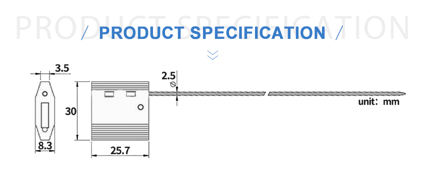 CS-D06_02.jpg